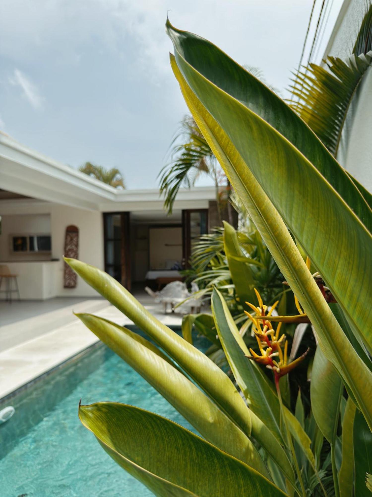 Aster Villa Seminyak エクステリア 写真